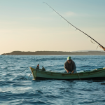 **Sustainable Fishing Practices**: Create an image of a serene ocean scene showcasing sustainable fishing methods. Include fishermen using selective catch techniques and vibrant marine life thriving in a healthy ecosystem, emphasizing the balance between human activity and nature.